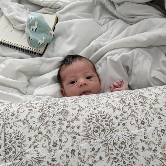 Meet your Posher, Melissa - Picture 3 of 13